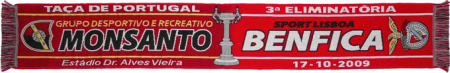 benfica_monsanto.png